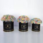 Rainbow Trio (1)