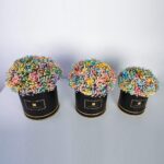 Rainbow Trio (2)