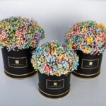 Rainbow Trio (3)