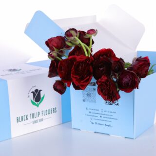 Ranunculus Clooney Red