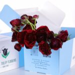 Ranunculus Clooney Red (2)