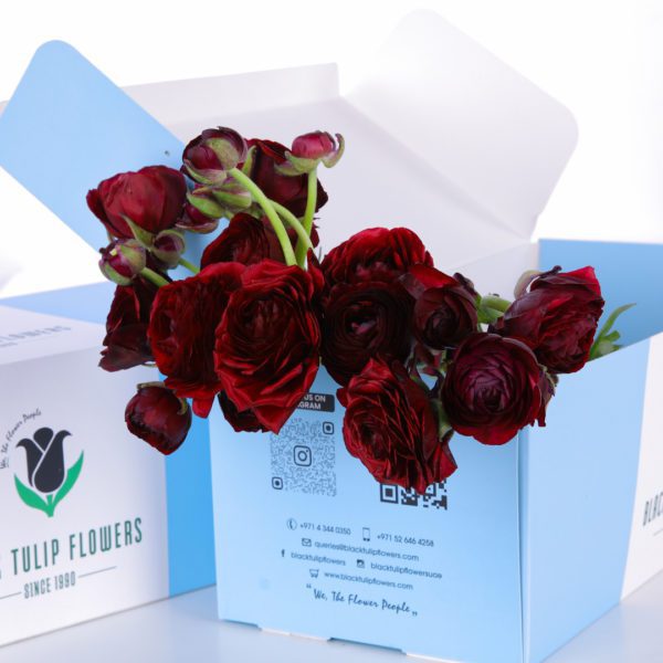 Ranunculus Clooney Red