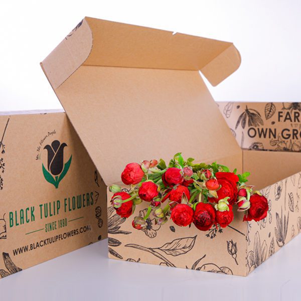 Ranunculus Red