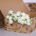 Ranunculus White (3)