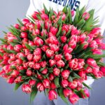 Rare Beauty - Tulips (1)