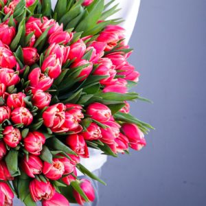 Rare Beauty - Tulips bouquet by Black Tulip Flowers
