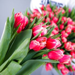 Rare Beauty - Tulips bouquet by Black Tulip Flowers
