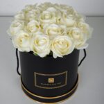 Reverence White (2)