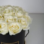 Reverence White (3)