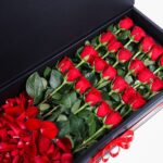 Romantic Duo (3)