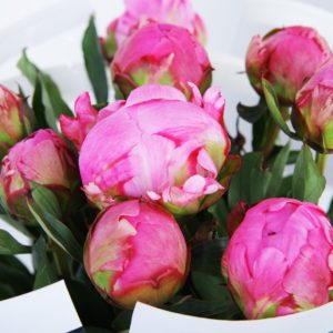 Simply Peonies bouquet by Black Tulip Flowers
