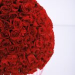Sparkling Red (2)