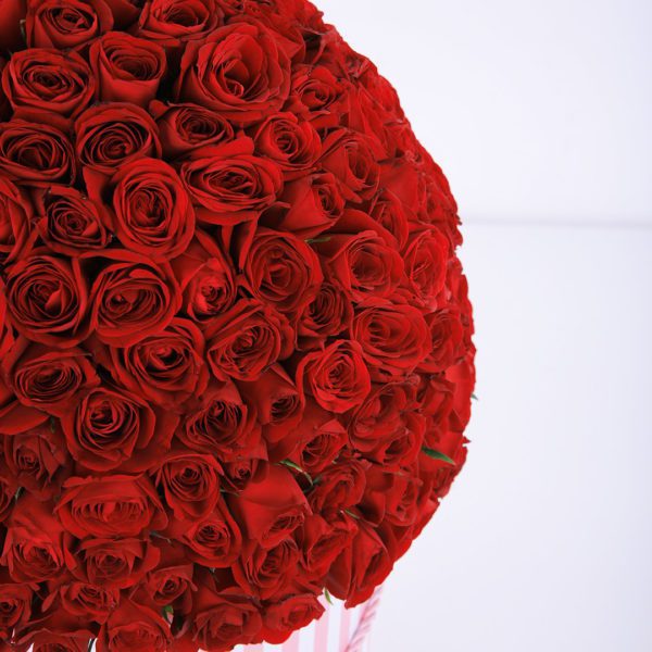 Sparkling Red flower box by Black Tulip Flowers