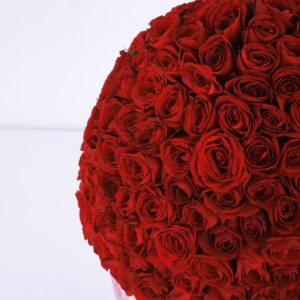 Sparkling Red flower box by Black Tulip Flowers
