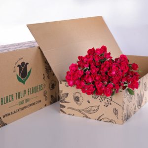 Spray Roses Dark Pink with vase