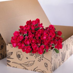 Spray Roses Dark Pink with vase