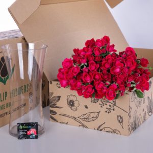 Spray Roses Dark Pink with vase