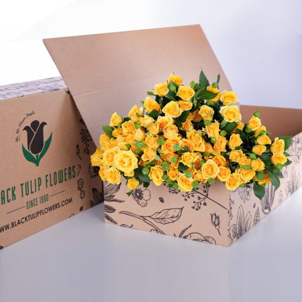 Spray Roses Yellow
