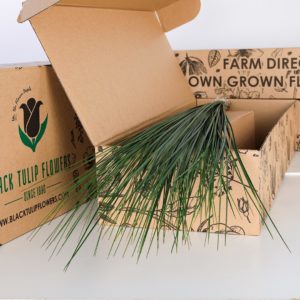 Steel Grass