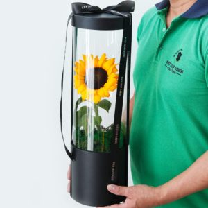 Sunflower Power flower box by Black Tulip Flowers