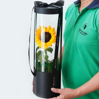 Sunflower Power flower box by Black Tulip Flowers