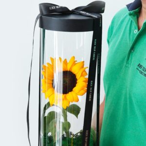 Sunflower Power flower box by Black Tulip Flowers