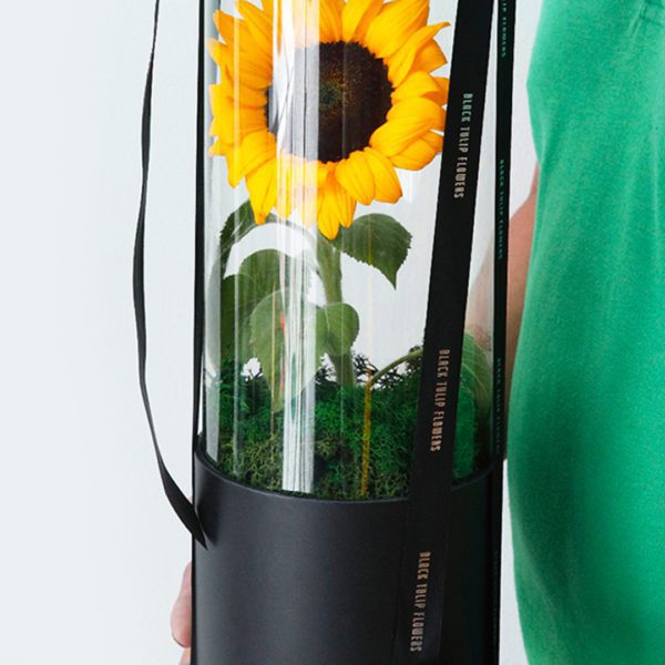 Sunflower Power flower box by Black Tulip Flowers