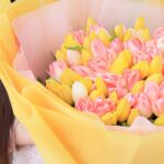 Sweet and Charismatic Tulips (3)
