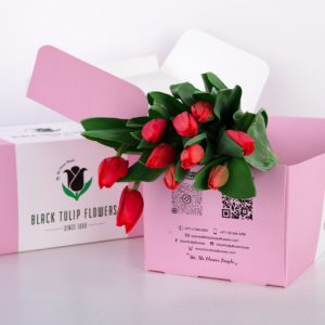 Tulip Regular Orange