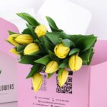Tulip Regular Yellow 02
