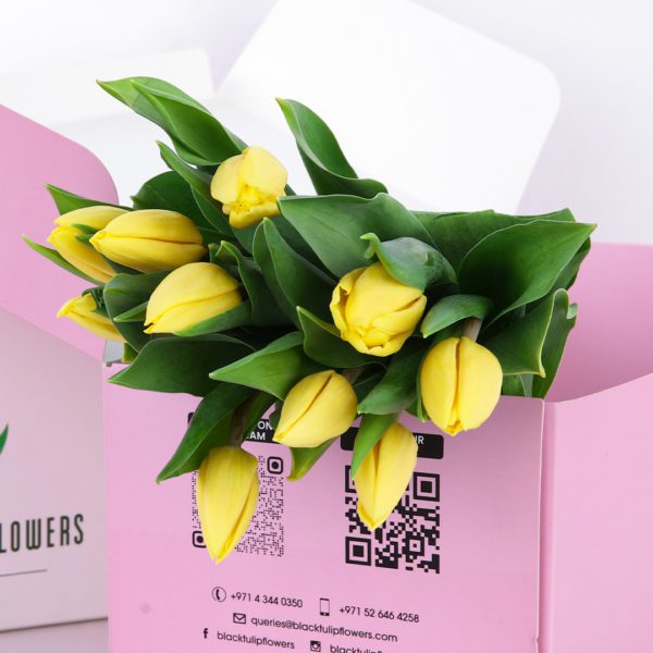 Tulip Regular Yellow