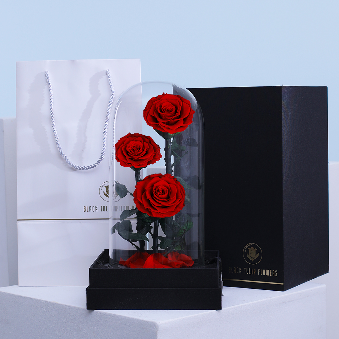 Long lasting roses online
