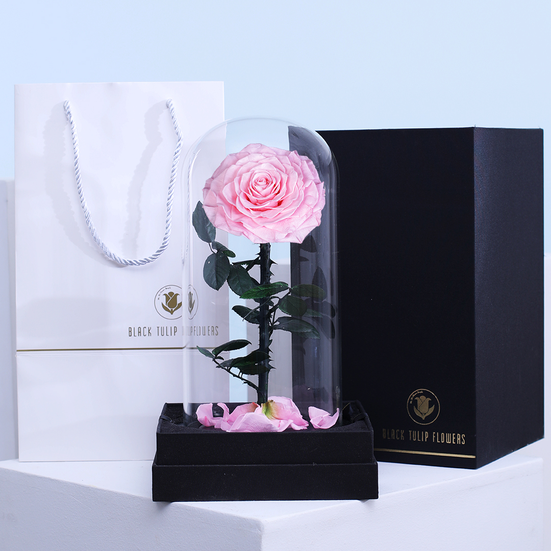 Single Pink Forever Rose Online Preserved Flowers