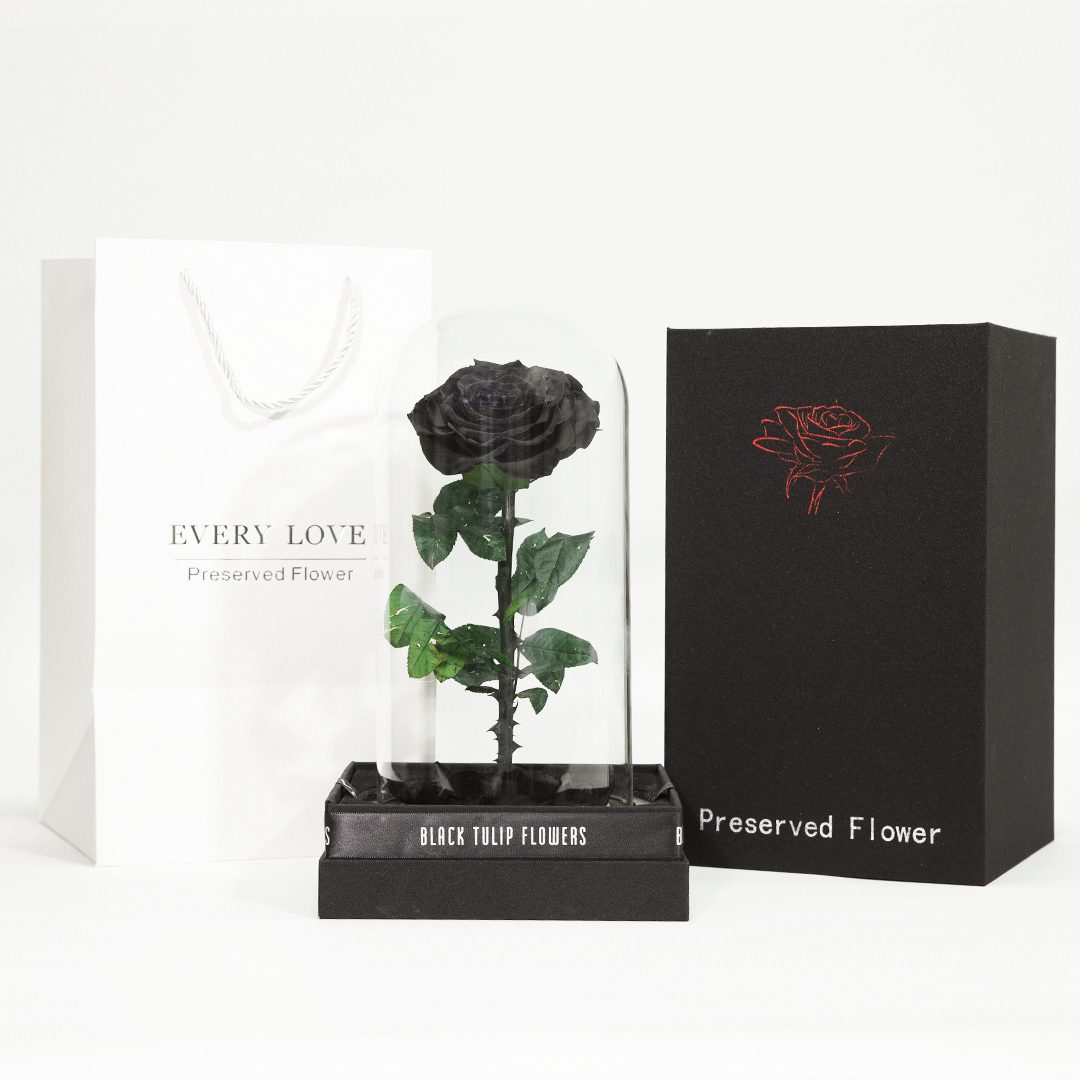 Single Black Forever Rose