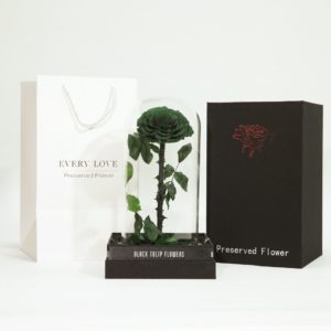 Single Green Forever Rose