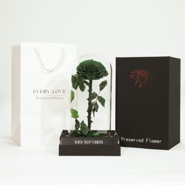 Single Green Forever Rose