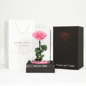 Single Pink Forever Rose