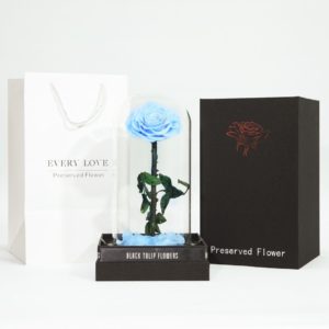Single Light Blue Forever Rose
