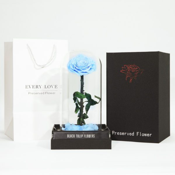 Single Light Blue Forever Rose