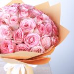 Attractive Pink (2)