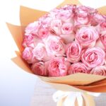 Attractive Pink (3)