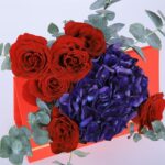 BT_FL_2410.03