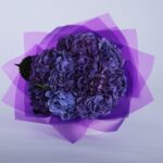 Compassionate Hydrangea (2)