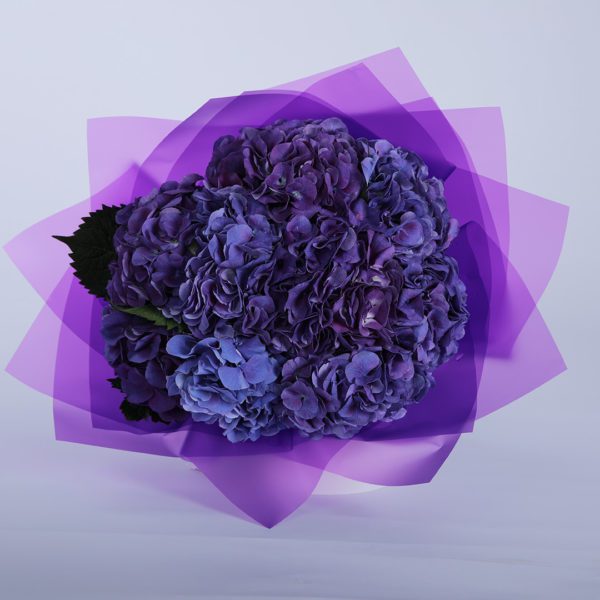 Compassionate Hydrangea bouquet by Black Tulip Flowers