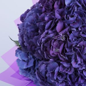 Compassionate Hydrangea bouquet by Black Tulip Flowers