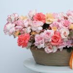 Graceful Blooms (4)