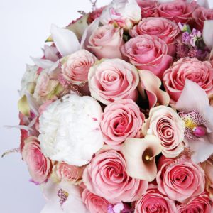 Modish Combination by Black Tulip Flowers