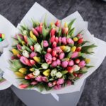 Radiant Tulips (2)