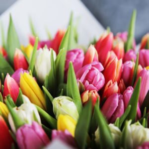 Radiant Tulips bouquet by Black Tulip Flowers