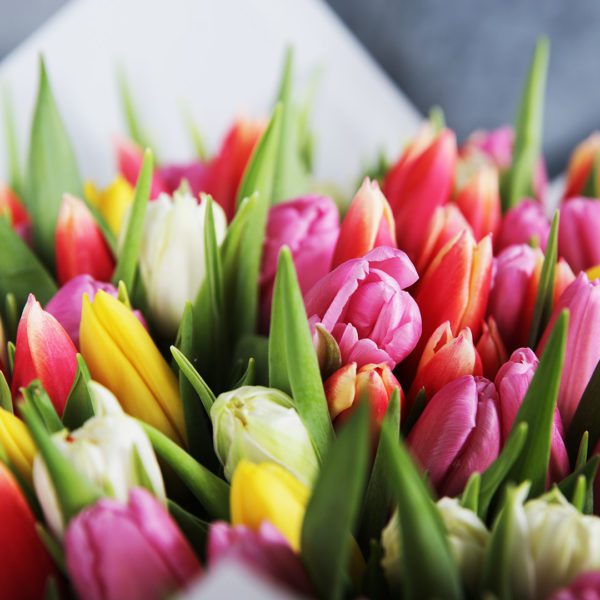 Radiant Tulips bouquet by Black Tulip Flowers